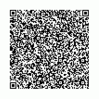 vCard 78041009936