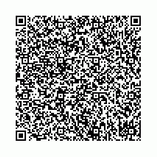 vCard 78041009941