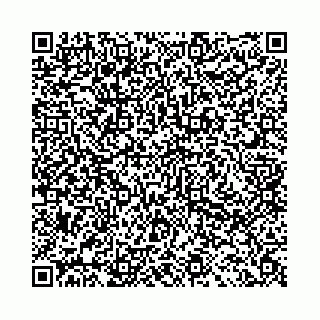 vCard 78041009945