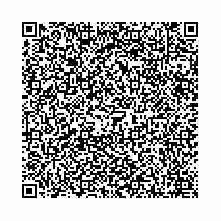 vCard 78041009953