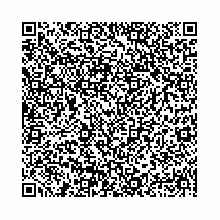 vCard 78041009963