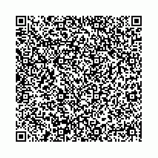 vCard 78041009965