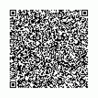 vCard 78041009972