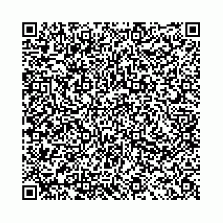 vCard 78041009974