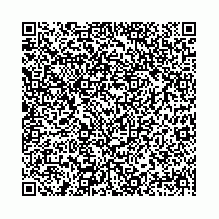 vCard 78041009977