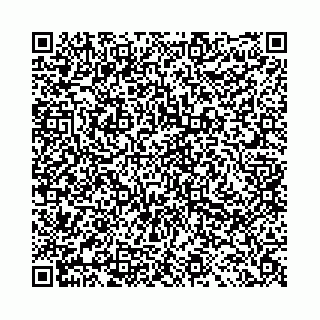 vCard 78041009980