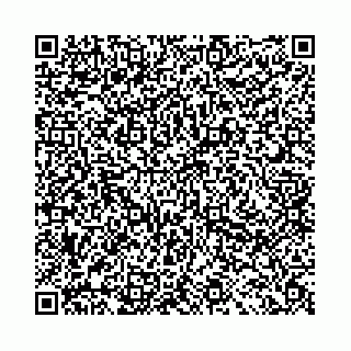 vCard 78041009982