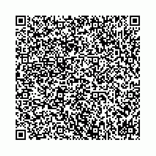 vCard 78041009983