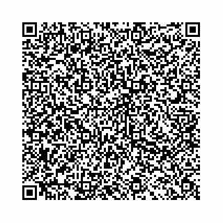 vCard 78041009985