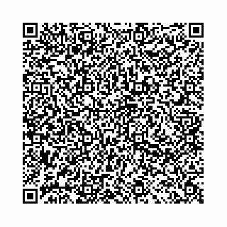 vCard 78041009987