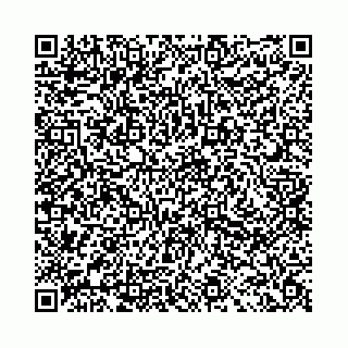 vCard 78041009990