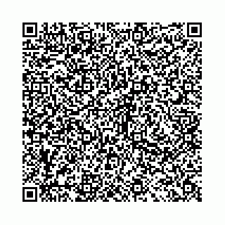 vCard 78041009995