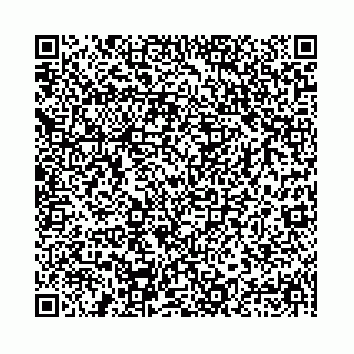 vCard 78041009997