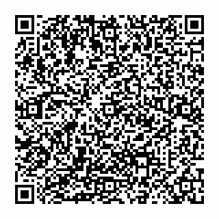 vCard 78042010173