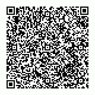 vCard 78042010259