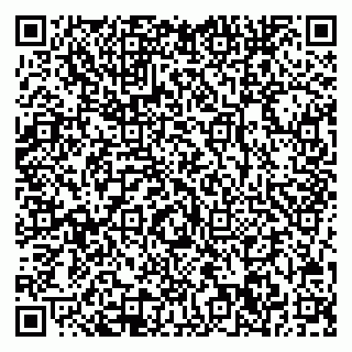 vCard 78042340041