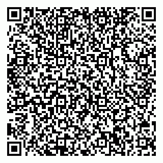 vCard 78042340065