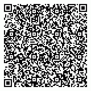 vCard 78042340087