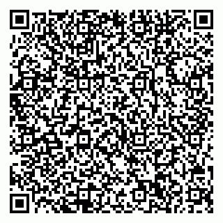 vCard 78042340314
