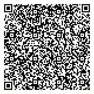 vCard 78042340331