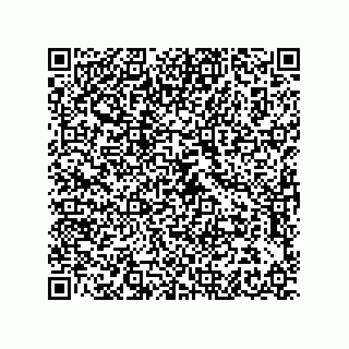 vCard 78044000017