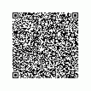 vCard 78044000203