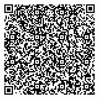 vCard 78045000139