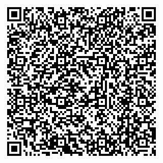 vCard 78045000739