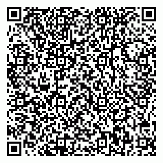 vCard 78045000839