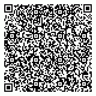 vCard 78045000872