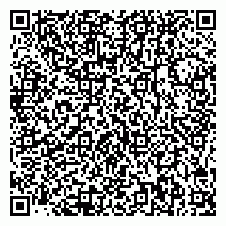 vCard 78045000939