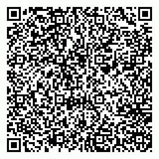 vCard 78045001063