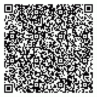 vCard 78045001065