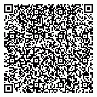vCard 78045001071
