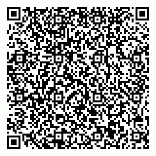 vCard 78045001072