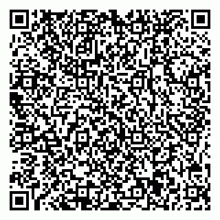 vCard 78045001073