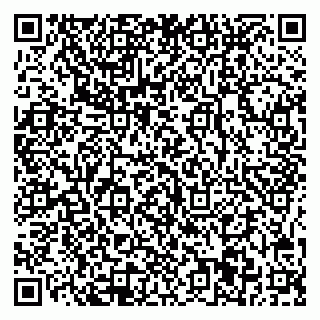 vCard 78045001099