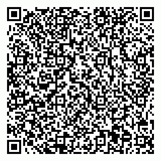 vCard 78045001539
