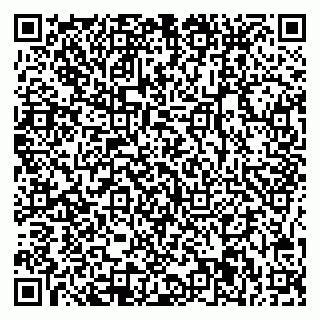 vCard 78045001815