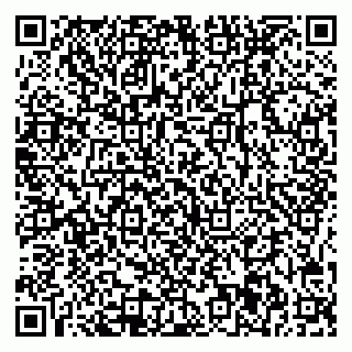 vCard 78045001981