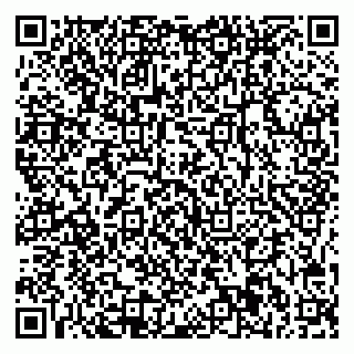 vCard 78045001997