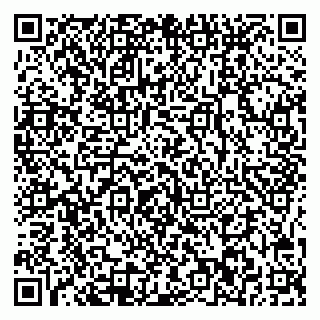 vCard 78045002011