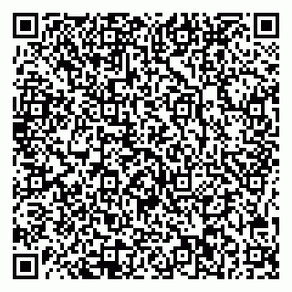 vCard 78045002385