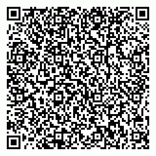 vCard 78045002803