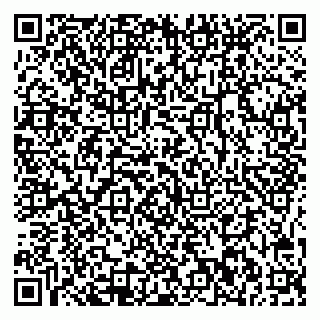 vCard 78045002913