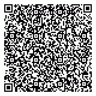 vCard 78045002995