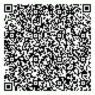 vCard 78045003013