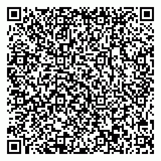 vCard 78045003017