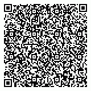 vCard 78045003019