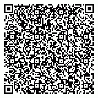 vCard 78045003104
